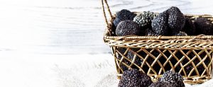 truffes noirs direct du producteur