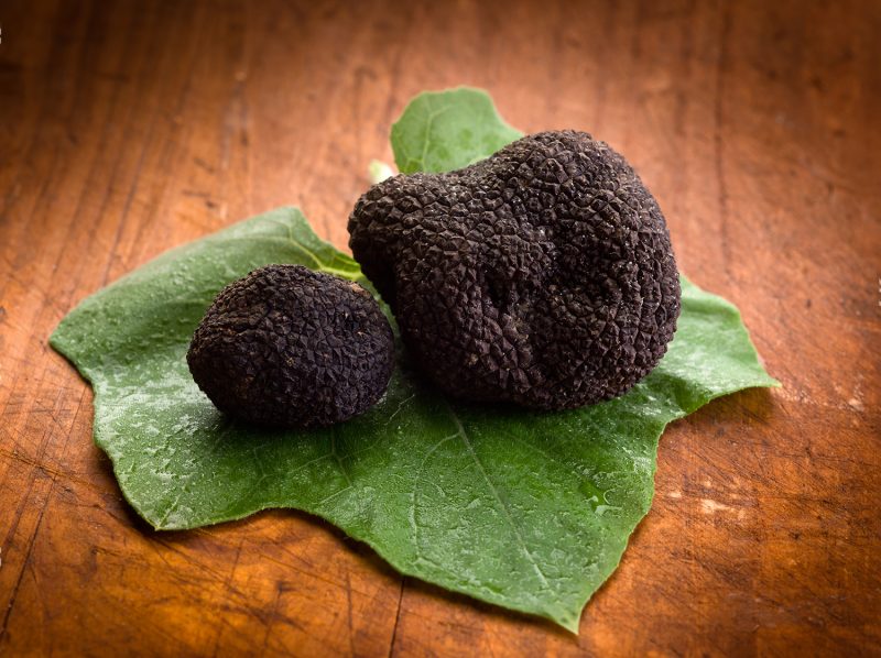 Morceaux de truffes noires fraîches de Lozère - Tuber Melanosporum