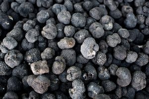 truffes noirs bio