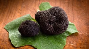 truffes noirs bio