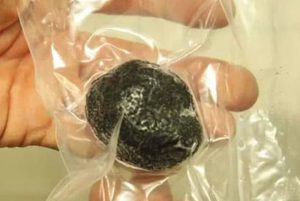 truffes noirs